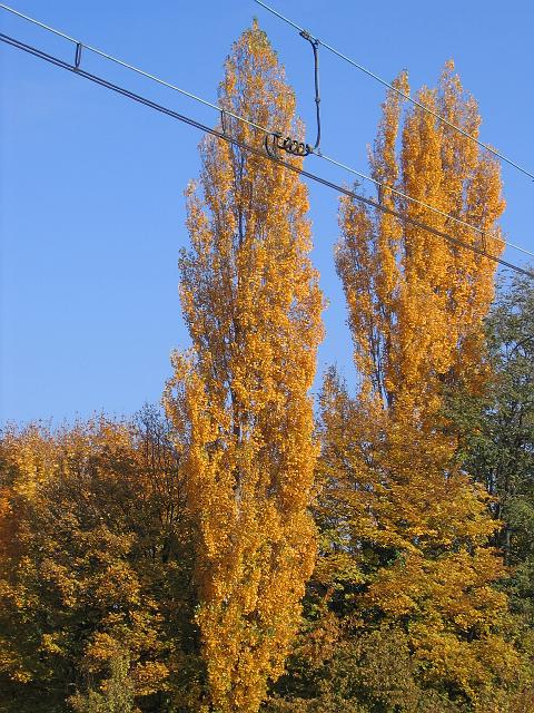 Photo 125.jpg
